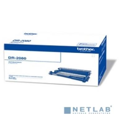 Brother DR-2080 Барабан HL-2130/DCP-7055, (12000 коп) (DR2080)