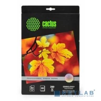CACTUS CS-SGA428020 Фотобумага Prof , для струйной печати, A4, 280г/м2, 20 листов