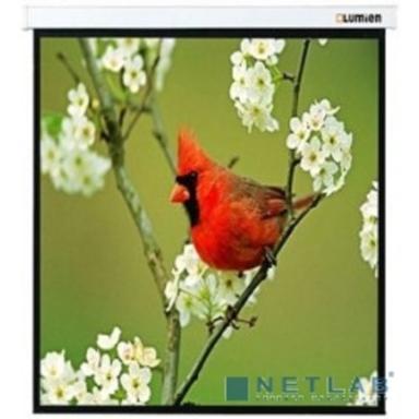LUMIEN Master Picture LMP-100129 (220*220) 1:1, черная кайма по периметру
