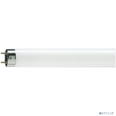Лампа люминесцентная Philips TL-D  G13 36W/33-640 SLV (уп. 25 шт) 872790081582500