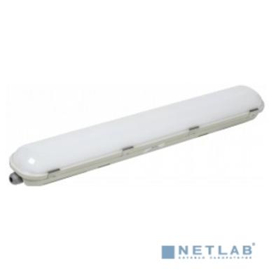 Iek LDSP0-1421-20-6500-K01 Светильник ДСП 1421 20Вт 6500К IP65 600мм серый пластик {размер 600х85х70 мм, аналог ЛСП-2х18Вт}
