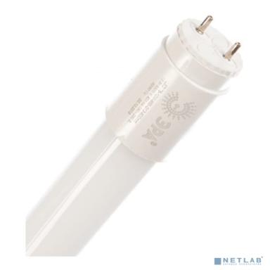 ЭРА Б0033000 Лампа светодиодная STD LED T8-10W-865-G13-600mm G13 поворотный 10Вт трубка стекло холодный дневной свет 