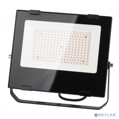 ЭРА Б0046369 Фитопрожектор для растений светодиодный FITO-100W-RB-LED для цветения и плодоношения красно-синего спектра 100 Вт