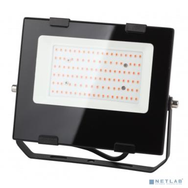 ЭРА Б0046368 Фитопрожектор для растений светодиодный FITO-50W-RB-LED для цветения и плодоношения красно-синего спектра 50 Вт 