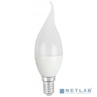 Эра Б0045343 LED BXS-10W-865-E14 R (диод, свеча на ветру, 10Вт, хол, E14) 