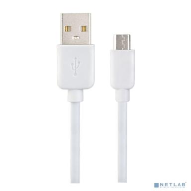 PERFEO Кабель USB2.0 A вилка - Micro USB вилка, белый, длина 1 м., бокс (U4007) 
