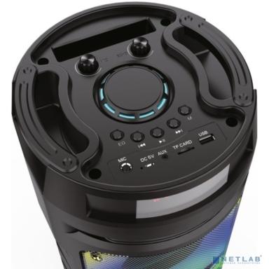 Ginzzu GM-219 {(V5.0), 50Вт, 150Гц- 18кГц, USB-flash, microSD-card, FM-радио, пульт ДУ,  батарея 3,6В/4500мАч, эквалайзер }