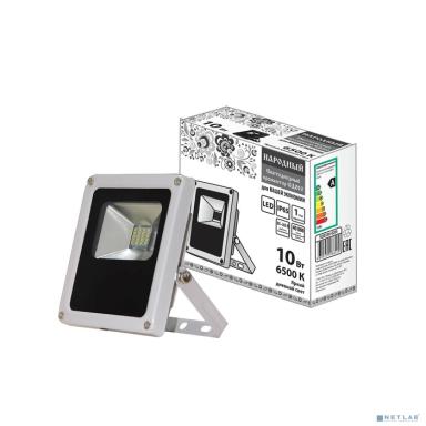 TDM SQ0336-0205 Прожектор светодиодный СДО10-2-Н 10 Вт, 6500 К, серый