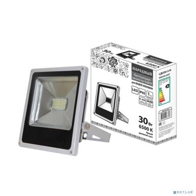 TDM SQ0336-0207 Прожектор светодиодный СДО30-2-Н 30 Вт, 6500 К, серый