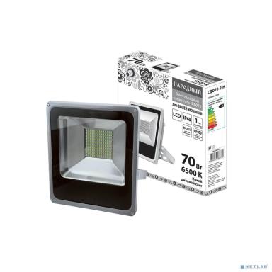 TDM SQ0336-0209 Прожектор светодиодный СДО70-2-Н 70 Вт, 6500 К, серый