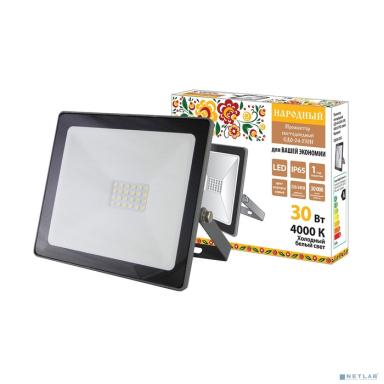 TDM SQ0336-0282 Прожектор светодиодный СДО-04-030Н 30 Вт, 4000 К, IP65, серый, Народный