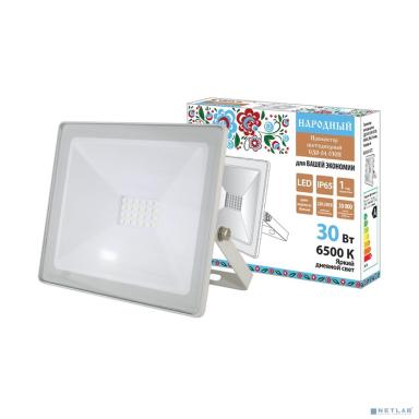 TDM SQ0336-0272 Прожектор светодиодный СДО-04-030Н 30 Вт, 6500 К, IP65, белый, Народный