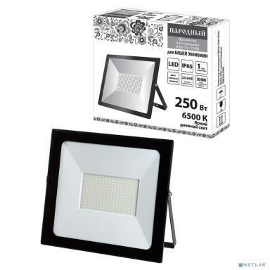 TDM SQ0336-0286 Прожектор светодиодный СДО-04-250Н 250 Вт, 6500 К, IP65, черный, Народный