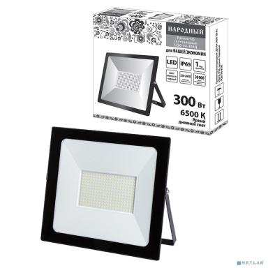 TDM SQ0336-0287 Прожектор светодиодный СДО-04-300Н 300 Вт, 6500 К, IP65, черный, Народный