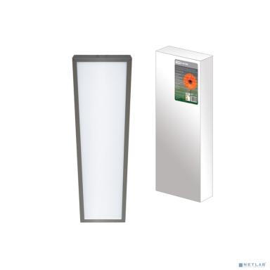 TDM SQ0329-0026 Ультратонкая светодиодная панель серии СВО 295х1195, 40 Вт, 6000 К, хром, 