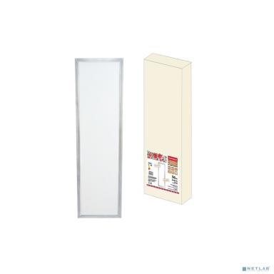 TDM SQ0329-0216 Ультратонкая светодиодная панель серии СВО 295 х1195, 36Вт, 3000К,  хром, Народная (без драйвера)