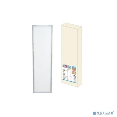 TDM SQ0329-0222 Ультратонкая светодиодная панель серии СВО 295 х1195, 36Вт, 6000К,  хром, Народная (без драйвера)