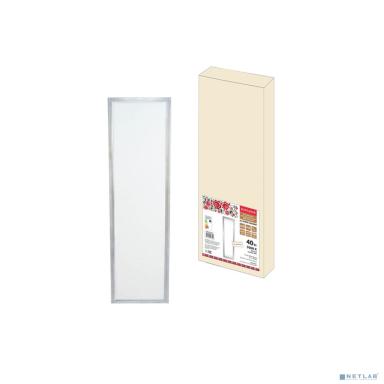 TDM SQ0329-0205 Ультратонкая светодиодная панель серии СВО 295 х1195, 40 Вт, 3000 К, хром,Народная (без драйвера)