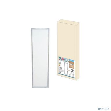 TDM SQ0329-0207 Ультратонкая светодиодная панель серии СВО 295 х1195, 40 Вт, 6000 К, хром, Народная (без драйвера)