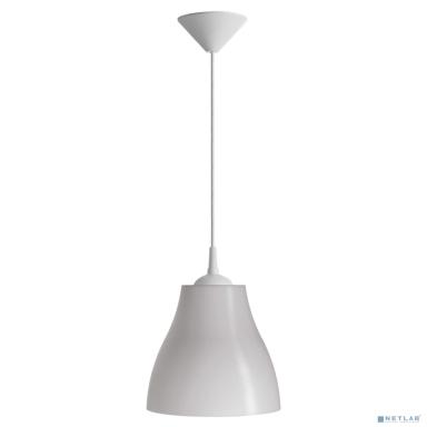 TDM SQ0313-0020 Светильник НСБ 21-60-102 УХЛ4 "Melodi mini" опал, шнур белый 