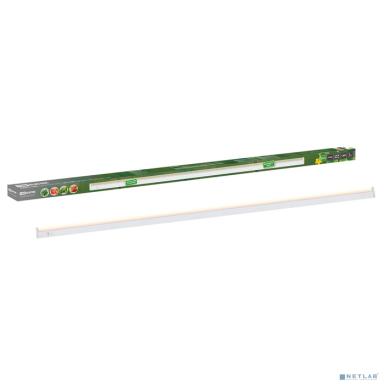 TDM SQ0372-1002 Светильник ФИТО 06-14-001 14 Вт, IP20, l=873 мм, с выкл.,  