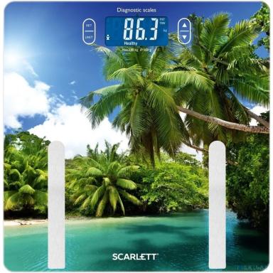 Scarlett SC-BS33ED12 Весы электронные, диагностика
