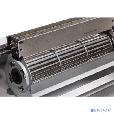 Завеса тепловая Ballu BHC-L15S09-SP