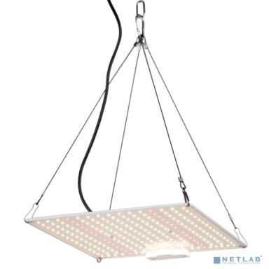 ЭРА Б0047876 Б0053285 Квантум борд FITO-80W-LED-QB Quantum board фитопрожектор полного спектра 80 Вт 3500К