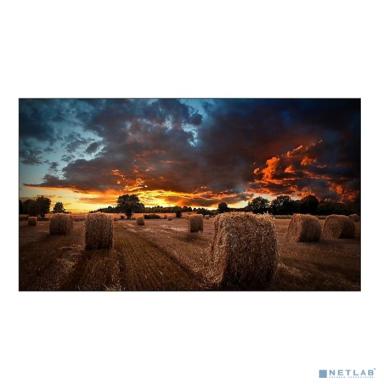 Samsung 46" VM46B-U Профессиональный дисплей {IPS 1920x1080 500cd 1200:1}