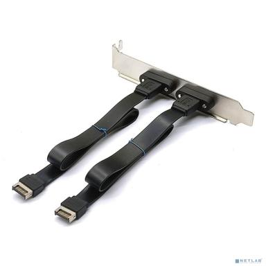 ORIENT C088E, Планка портов в корпус 2xUSB Type-C, USB3.2 Gen2, Type-E кабель 50см, oem (33199)