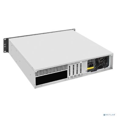 Exegate EX297145RUS Серверный корпус ExeGate Pro 2U400-02 <RM 19", высота 2U, глубина 400, БП 1100ADS, USB>