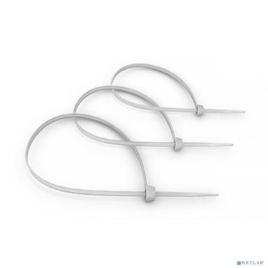 Cabeus CT-100 Стяжка нейлоновая неоткрывающаяся, безгалогенная (halogen free) 100x2.5мм, (100 шт)