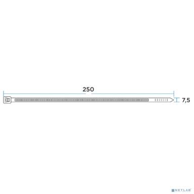 Rexant (67-0250) Стяжка нейлоновая Профессиональная 250x3,6мм, белая (100 шт/уп)