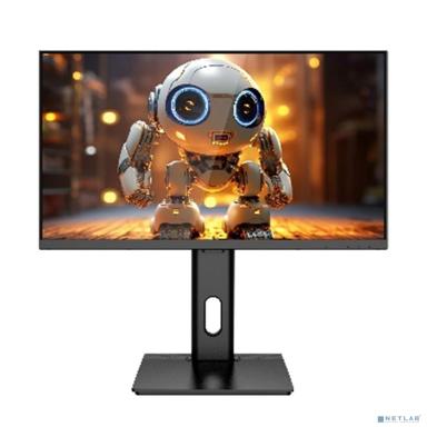 LCD AIWA 23.8" MF240E Black {IPS, 1920x1080, D-sub+HDMI+DP, 4 ms, 178°/178°, 250 cd/m, 1200:1, 100Hz, MM, Pivot, внешн. БП}