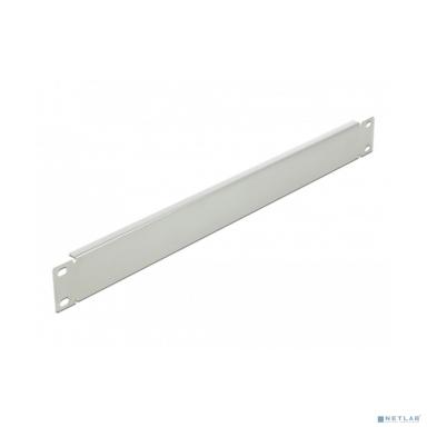 БАСТИОН SKAT TB Panel 1U-G  Панель заглушка 19" 1U, серая (4467)