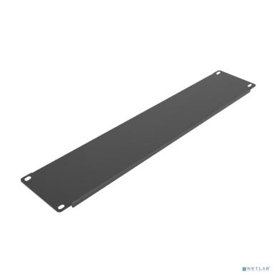 БАСТИОН SKAT TB Panel 2U-B  Панель заглушка 19" 2U, черная (4470)