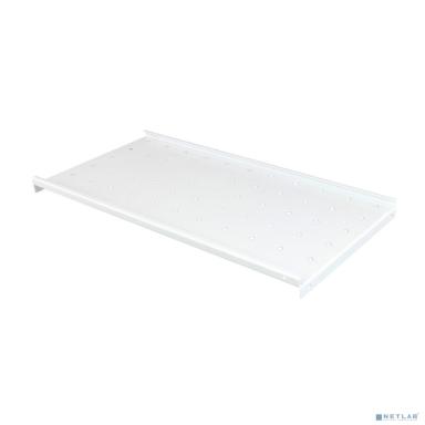 БАСТИОН SKAT TB Shelf D450-G  Стационарная полка 19" глубиной 450мм, серая (4482)