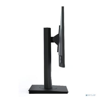 LCD РУСЛАН М24/75/1080 [RUS-M24-695928] {23.8", 1920x1080, 75Гц, IPS, 16:9, 3мс, VGA, HDMI, DP, 1000:1, 178/178, 300cd, VESA 100x100, Внутренний, Hub, черный, Реестр МПТ}
