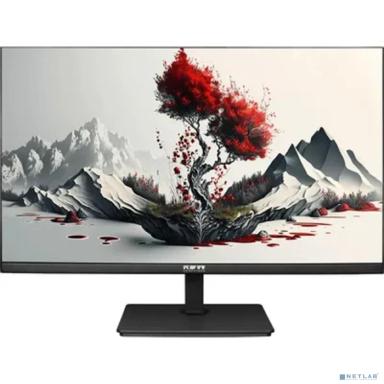 LCD RDW2401K {1920x1080(FHD) IPS 100Hz 5мс 178°/178 250cd VGA HDMI DP 1*USB-B, 4*USB-A  наклон, внешний БП, Динамики, черный, VESA 100*100, реестр МПТ}